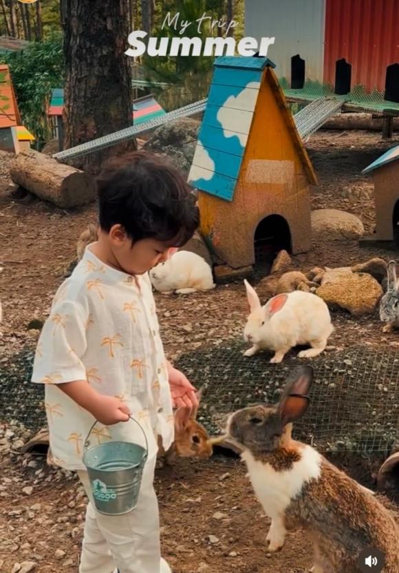hòa minzy, sao việt 