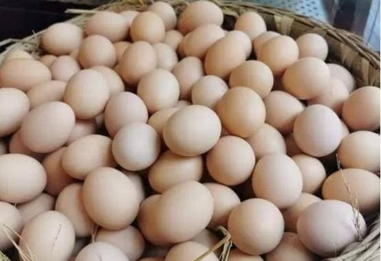 Mua trứng gà ta nên mua trứng to hay nhỏ? Tôi mới nhận ra rằng tôi đã làm sai suốt thời gian qua