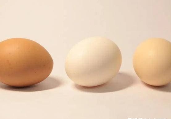 trứng gà, cách chọn trứng gà, trứng gà nên chọn loại to hay nhỏ