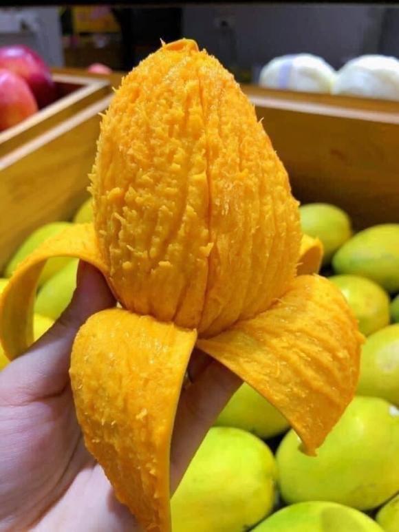 ăn xoài, ăn quá nhiều xoài, sức khỏe 