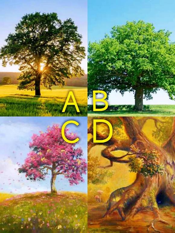 Trắc nghiệm tâm lý: Bạn muốn ngồi dưới gốc cây nào? Tìm hiểu những khía cạnh của may mắn bạn có gần đây!