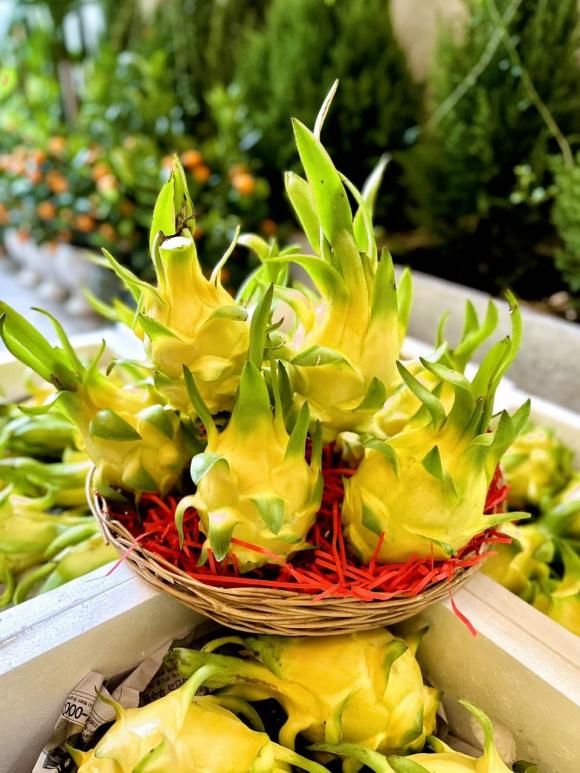 Quả thanh long vỏ vàng khác gì quả thanh long bình thường mà có giá lên tới gần 1 triệu đồng/kg?