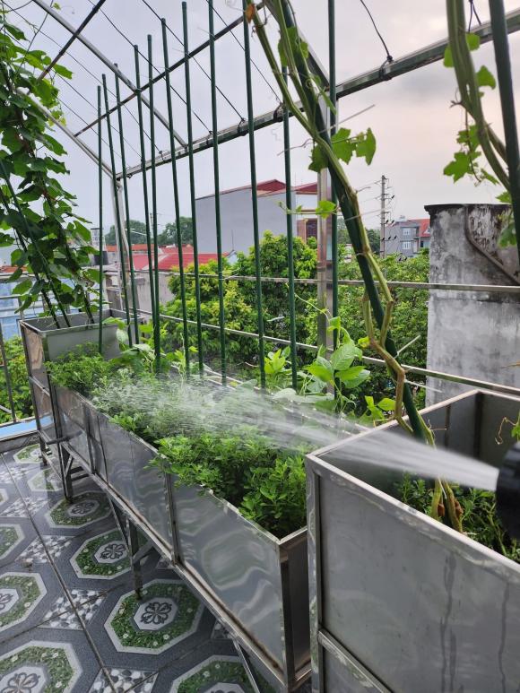Đam mê làm vườn, bố đảm chi gần 400 triệu để lắp thang máy lên tầng 4 trồng rau