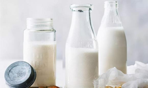 sữa, sữa chua, sức khỏe, chăm sóc sức khỏe, uống sữa, sản phẩm sữa, uống sữa mỗi ngày