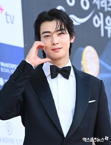 Blue Dragon Series Awards, Song Hye Kyo, sao Hàn