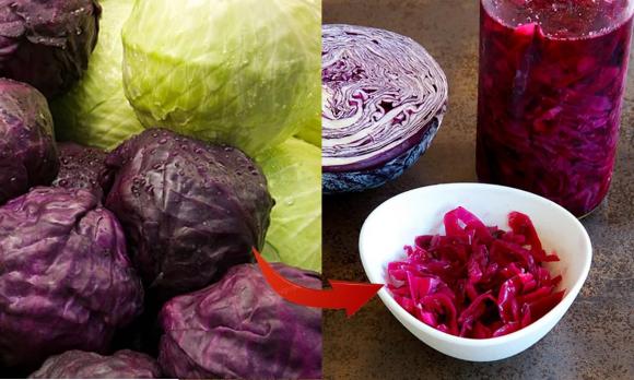 bắp cải, cải thảo, bắp cải hỏa tiễn