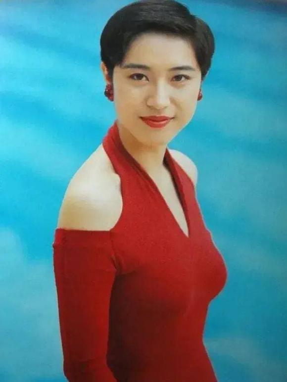 Trần Pháp Dung, Hoa hậu Hông Kông, sao Hoa ngữ
