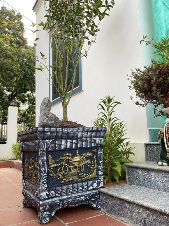 Hồ Phong, nhà diễn viên Hồ Phong, nhà sao 