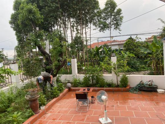 Hồ Phong, nhà diễn viên Hồ Phong, nhà sao 
