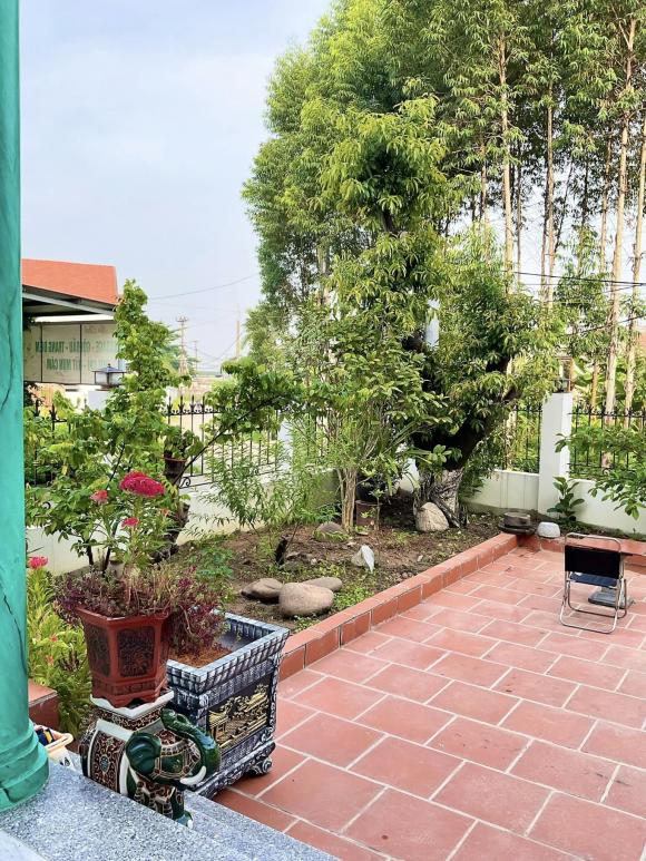 Hồ Phong, nhà diễn viên Hồ Phong, nhà sao 