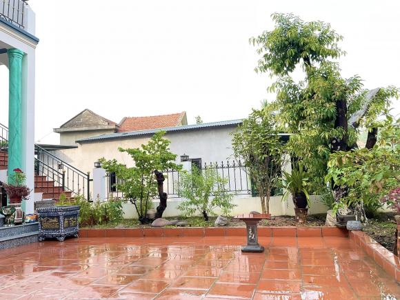 Hồ Phong, nhà diễn viên Hồ Phong, nhà sao 