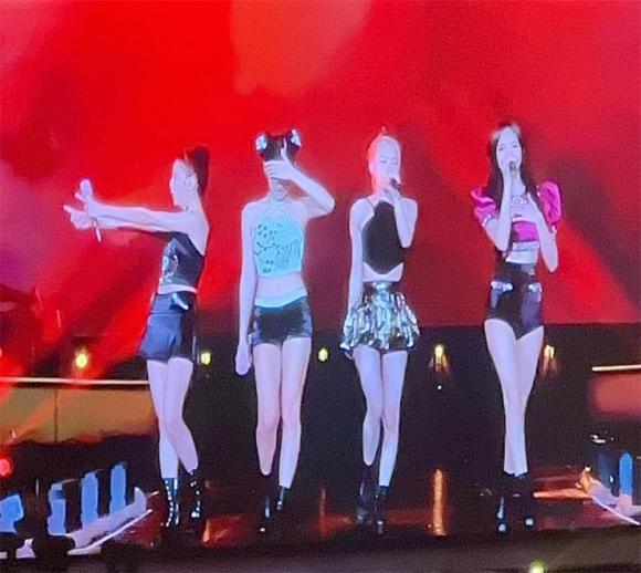 Concert Blackpink, Blackpink, fan Blackpink