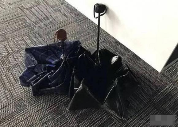 phong thuỷ, phòng khách, phong thuỷ phòng khách, cây có gai, đồ cổ, 