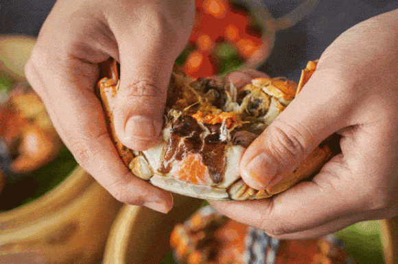 bảo quản cua 4 bảo quản cua, cua, bảo quản cua tươi sống, không nên bảo quản cua trong tủ lạnh, bảo quản, để cua sống lâu, mẹo bảo quản, phương pháp bảo quản