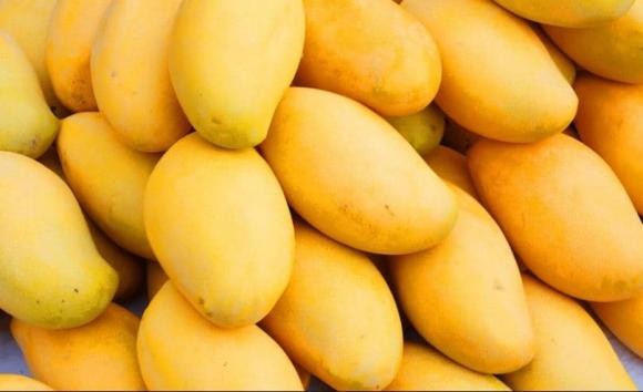 Xoài nên chọn quả dài hay tròn? Những người 'đại kỵ' với loại quả này, đừng ăn kẻo hại thân