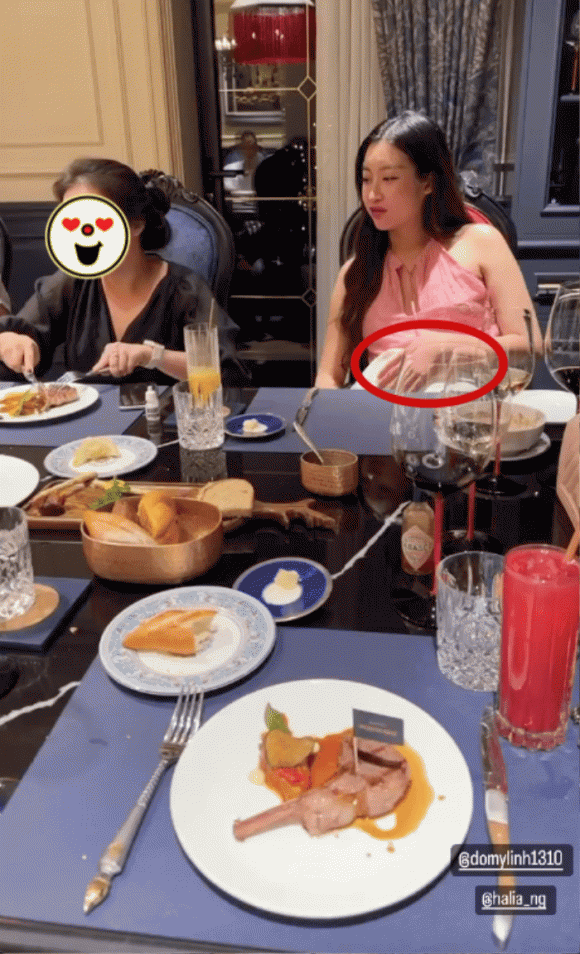 Đỗ Quang Vinh, con gái Đỗ Mỹ Linh, Đỗ Mỹ Linh