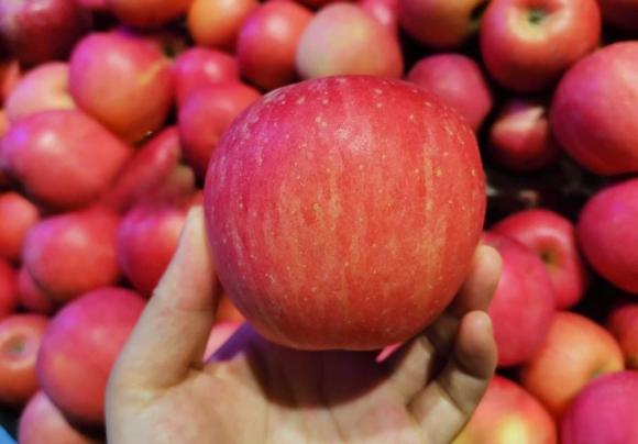 Khi mua táo, có một sự khác biệt lớn giữa quả 'tròn vuông' và quả 'xéo'. Soi 3 địa điểm chọn táo ngon