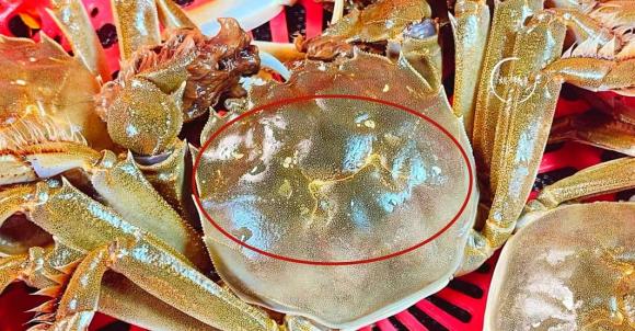 chọn mua, mua cua, chọn cua ngon, mẹo mua cua
