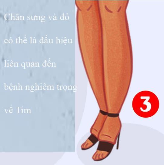 tranh đố, đố ảnh, kiến thức