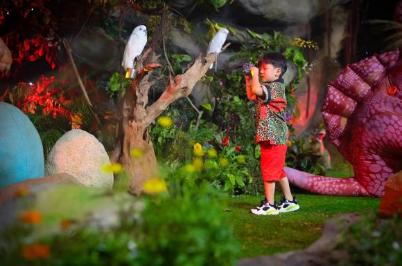 ca sĩ đàm vĩnh hưng,nam ca sĩ Đàm Vĩnh Hưng,Con trai Đàm Vĩnh Hưng,sao Việt