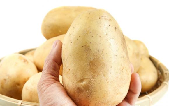 Khi mua khoai tây, làm thế nào để phân biệt giữa 'khoai tây bột' và 'khoai tây giòn'? Hương vị rất khác, đừng chọn nhầm!