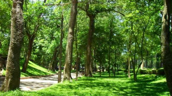 vườn Bách Thảo Hà Nội,  công viên lâu đời nhất thủ đô Hà Nội, công viên 