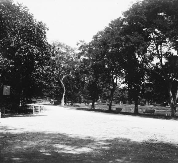 vườn Bách Thảo Hà Nội,  công viên lâu đời nhất thủ đô Hà Nội, công viên 