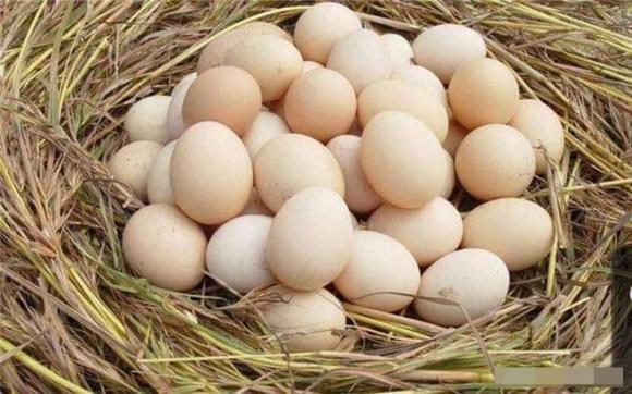Chỉ cần 4 mẹo này bạn sẽ biết cách chọn được những quả trứng tươi ngon nhất trong một đống trứng
