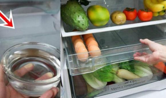 tủ lạnh, sử dụng tủ lạnh, công nghệ 