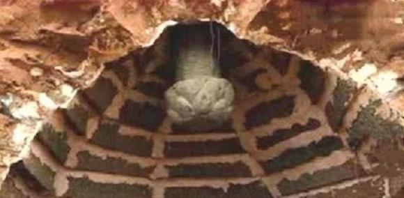 Ngôi mộ nghìn năm được canh giữ bởi một con rắn lớn? ngôi mộ cổ, truyền thuyết