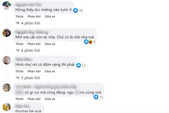 quần lót cũ, dùng quần lót tạo thành áo, đồ cũ