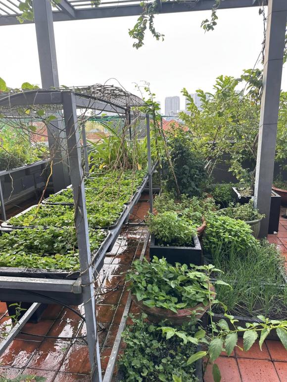 Diệp bảo ngọc,nhà của diệp bảo ngọc,sao việt