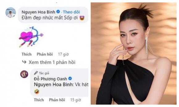 vợ cũ Shark Bình, sao Việt