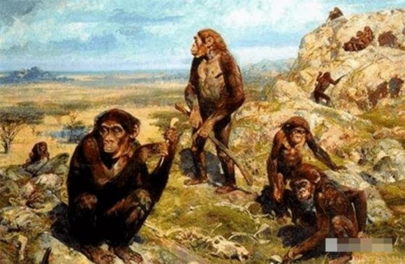 Tại sao con người lại tiến hóa thành động vật ăn tạp? Tiết lộ bí ẩn về thảm họa thiên nhiên 2,5 triệu năm trước