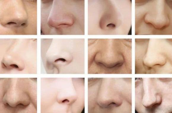 nghẹt mũi, tình dục, giải Ig Nobel lần thứ 31
