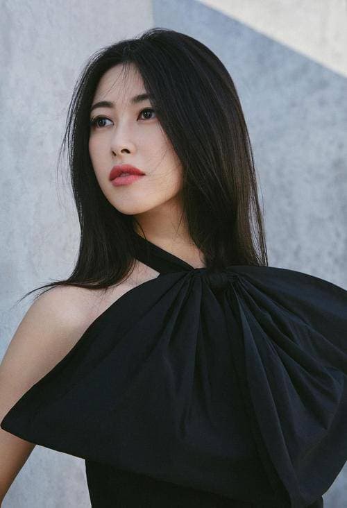 Kim Tae Hee, Trương Tử Lâm, mỹ nhân hàn, sao hoa ngữ