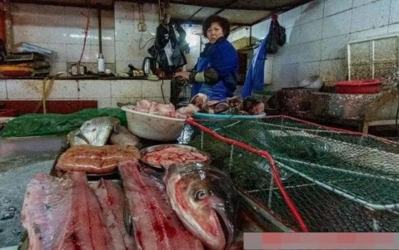 Khi mua cá, tại sao người bán cá lại thích cho cá vào túi màu đen? Phải chăng có điều gì 'mờ ám' ẩn giấu đằng sau?