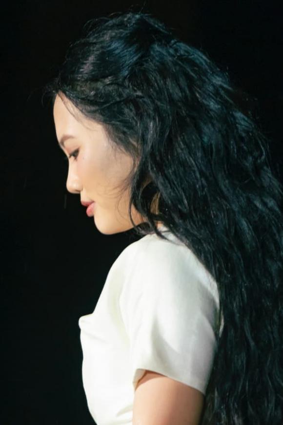 ca sĩ Phương Mỹ Chi, sao Việt