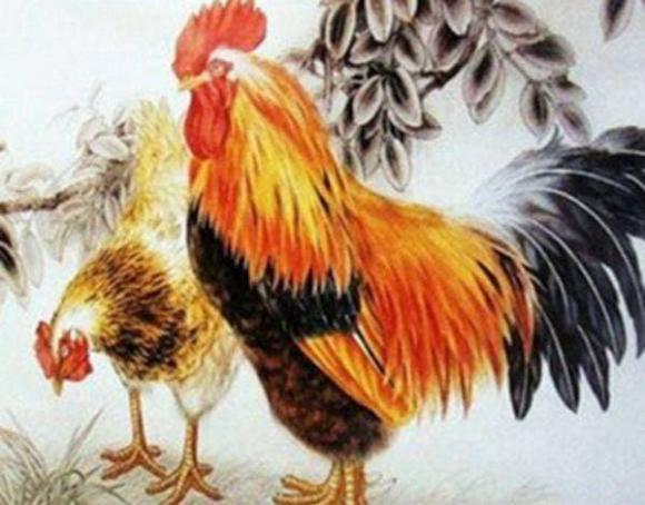 tử vi, con giáp, tử vi ngày 11/10