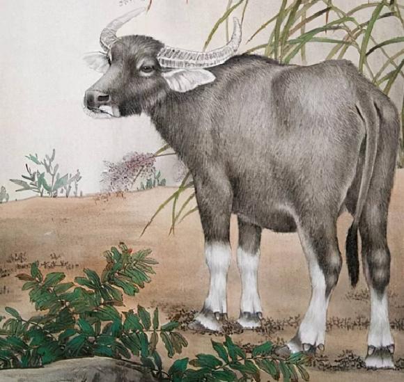 3 con giáp đều có tuổi già buồn bã, càng lớn càng cô đơn, không có ai bên cạnh, cuộc sống thật đáng thương