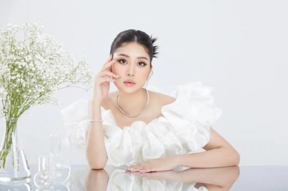 Miss Earth Vietanam 2023, sao Việt