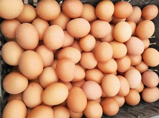 View - Khi mua trứng nên chọn trứng to hay nhỏ? Bác nông dân dạy bạn bí quyết chọn trứng, đừng mua nhầm nữa nhé!