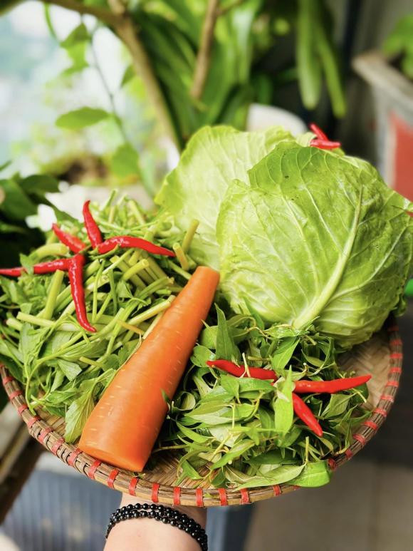 dưa bắp cải, cách dưa bắp cải, món ngon 