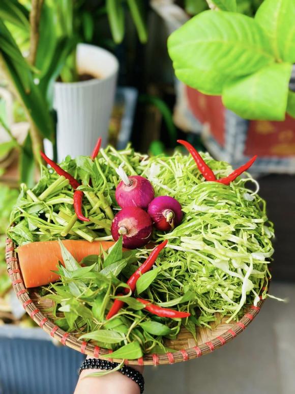 dưa bắp cải, cách dưa bắp cải, món ngon 