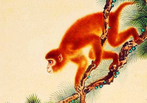 tử vi, con giáp, tử vi ngày 23/10
