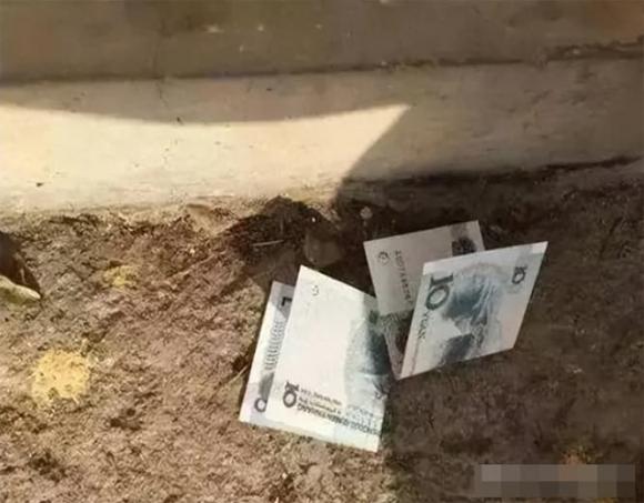 đồ nhặt được, đồ bỏ đi