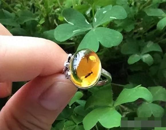 đồ nhặt được, đồ bỏ đi