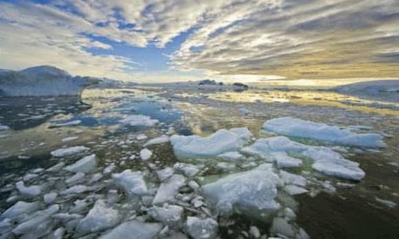 công viên Zimbabwe, voi chết ở công viên quốc gia lớn nhất Zimbabwe, El Nino, Vườn Quốc Gia Hwange