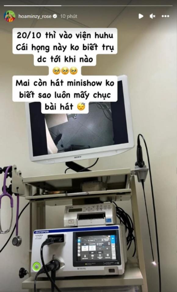 hòa minzy, sao việt 