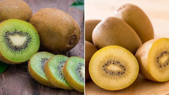 kiwi vàng, kiwi xanh, trái cây ngon